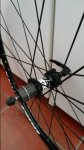 20160607_175328.jpg