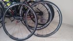 IMG_20160608_104249415.jpg