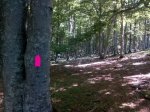 IMG_20160608_113830.jpg