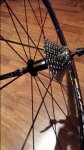 20160603_213635.jpg