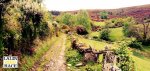 FOTO 07.jpg