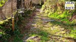 FOTO 08.jpg