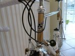 peter_Colnago-Gold-8-of-8.jpg