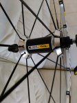 IMG_20160610_180523.jpg