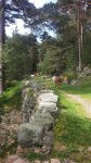 20160611_102942.jpg
