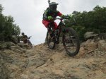 IMG_2781.JPG