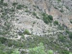 IMG_2802.JPG