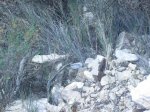 IMG_2813.JPG