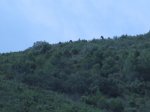IMG_2814.JPG