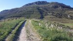 IMG_0896.JPG