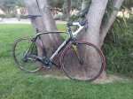 IMG_20160612_203637.jpg