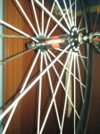 IMG_20160610_163046.jpg