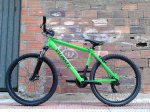 Verde1.JPG