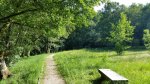 2016-06-14 17.50.27.jpg