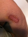 IMG_20160614_210541.jpg
