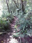 IMG_20160602_174706.jpg