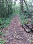 IMG_20160530_165004.jpg