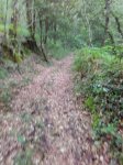 IMG_20160530_165643.jpg