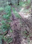 IMG_20160530_172220.jpg