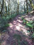 IMG_20160602_180307.jpg