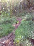 IMG_20160602_180525.jpg