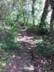 IMG_20160602_174702.jpg