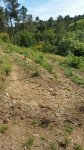 2016-06-15 11.29.24.jpg