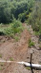 2016-06-15 11.30.37.jpg