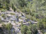 DSCN0144.JPG