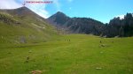 DSC_0431.JPG