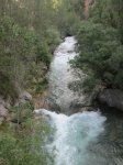 IMG_2829.JPG