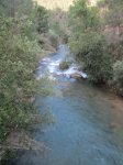 IMG_2830.JPG