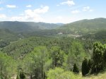 IMG_2854.JPG