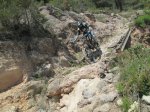 IMG_2861.JPG