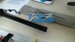 WP_20160615_022.jpg