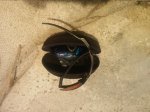 20160616_155829.jpg