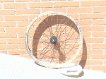 DSC01166.JPG