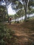 picadasextrem051007 039.jpg