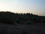 Via Verde Los Molinos de Agua 005.jpg