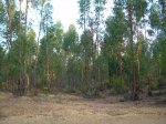 Via Verde Los Molinos de Agua 010.jpg
