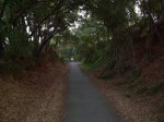 Via Verde Los Molinos de Agua 023.jpg