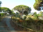 Via Verde Los Molinos de Agua 025.jpg