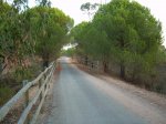 Via Verde Los Molinos de Agua 028.jpg