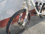 foto03.jpg