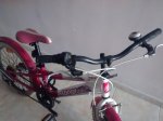 IMG_20160618_191042103.jpg