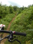 IMG_20160618_195703.jpg