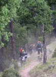 IMG_6991.jpg