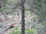 IMG_2893.JPG