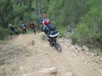 IMG_2905.JPG