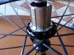 20160619_192130.jpg